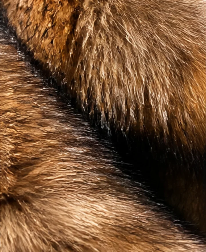 Raccoon Fur material reference for custom outerwear