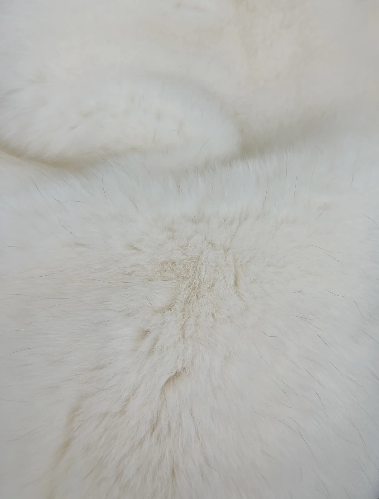 Fur surface detail thumbnail